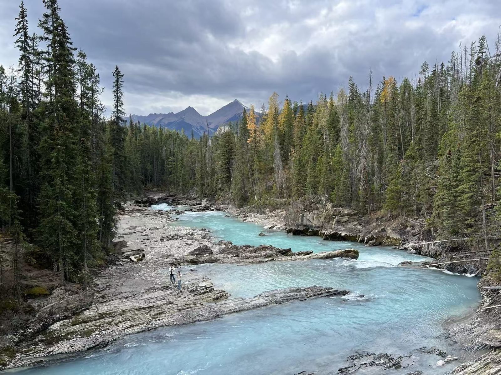 Vancouver Airport Pickup+Banff-Vancouver " Rocky Mountaineer " Train Tour 7 Days Tour