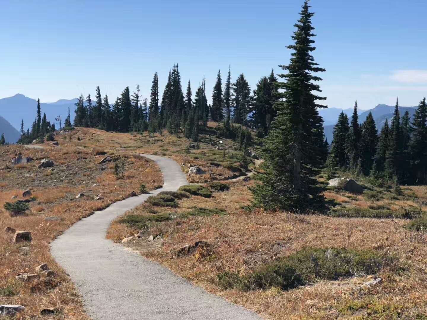  Mount Rainier National Park 1-Day Tour