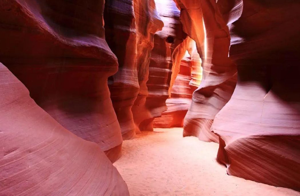 San Francisco pick-up&Free Day+ Las Vegas+ Grand Canyon National Park+ Antelope Canyon+ Horseshoe Bend+Los Angeles Free Day 7-Day Tour