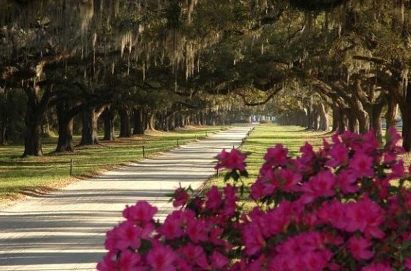 Christmas Vacation for Family|Round trip to Washington D.C. + Hershey + Pittsburgh + Cincinnati + Nashville + Memphis + New Orleans + Atlanta + Charleston 10 days and 9 nights tour