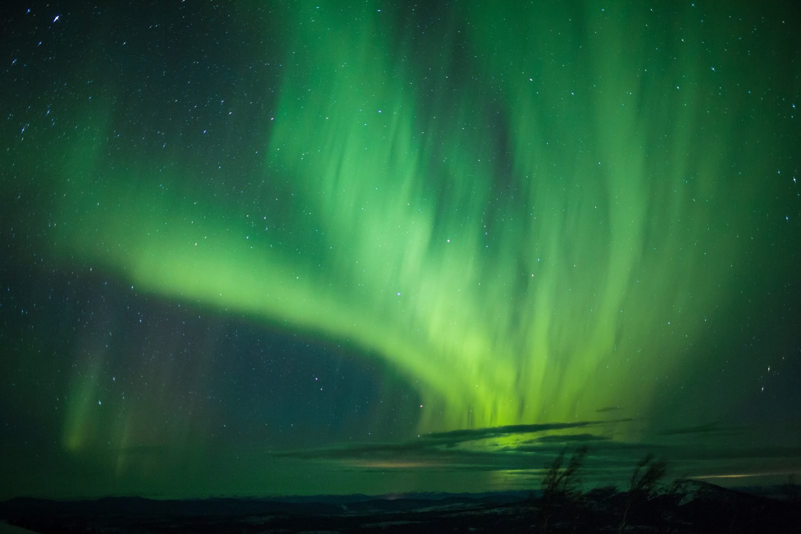 "The date with Aurora" Alaska 2025-2026丨Fairbanks - Anchorage 7 Days and 6 Nights Tour 