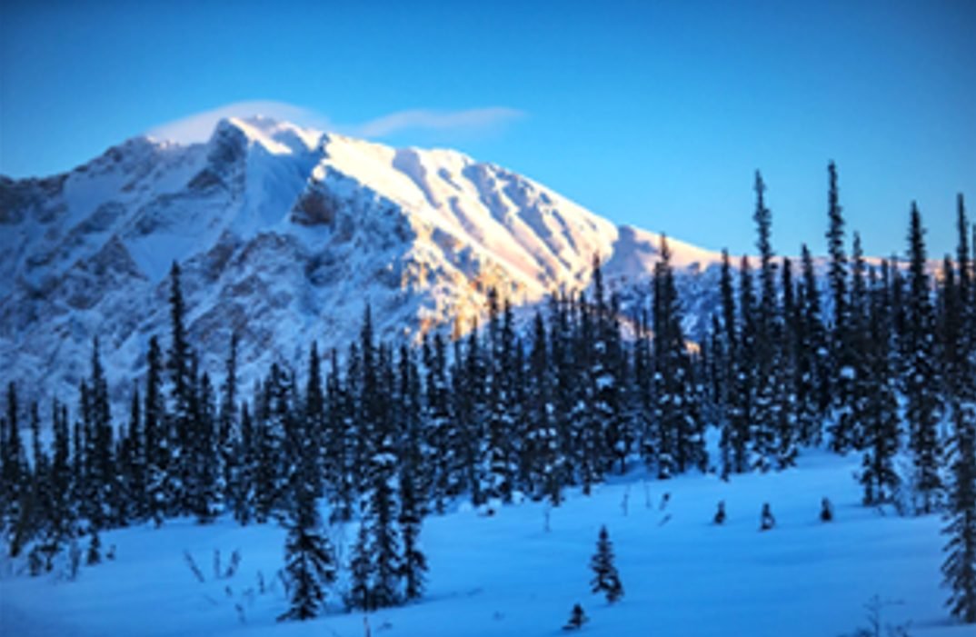 "The date with Aurora" Alaska 2025-2026丨Denali National Park Walking Tour from Fairbanks