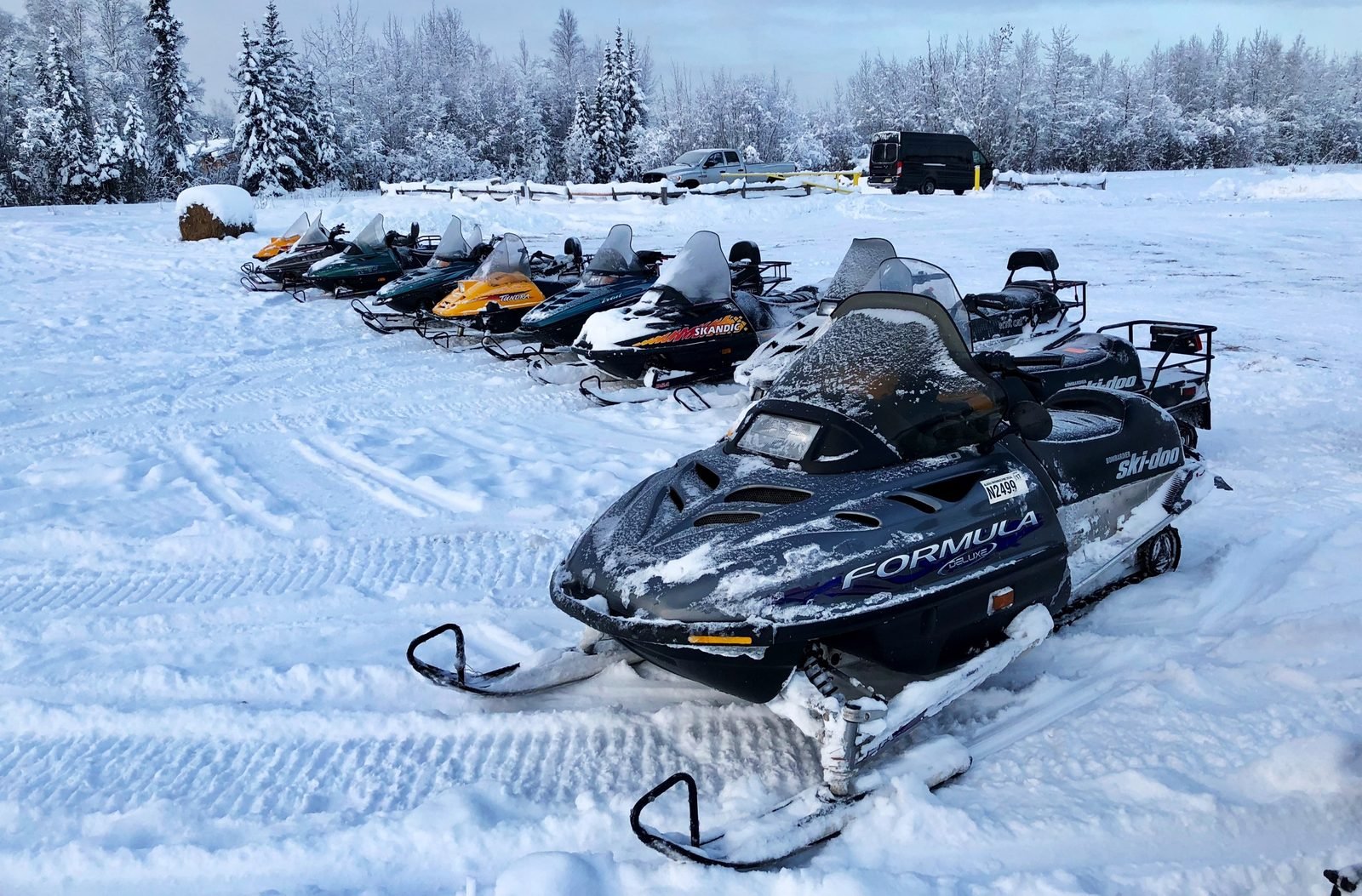"The date with Aurora" Alaska 2025-2026丨A Snowmobile Driving Experience in  Fairbanks [30 mins] 