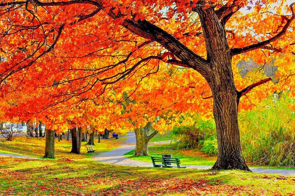 1 Day Tour Across Milwaukee, Holy Hill Basilica, and Lake Geneva Autumn  Viewing