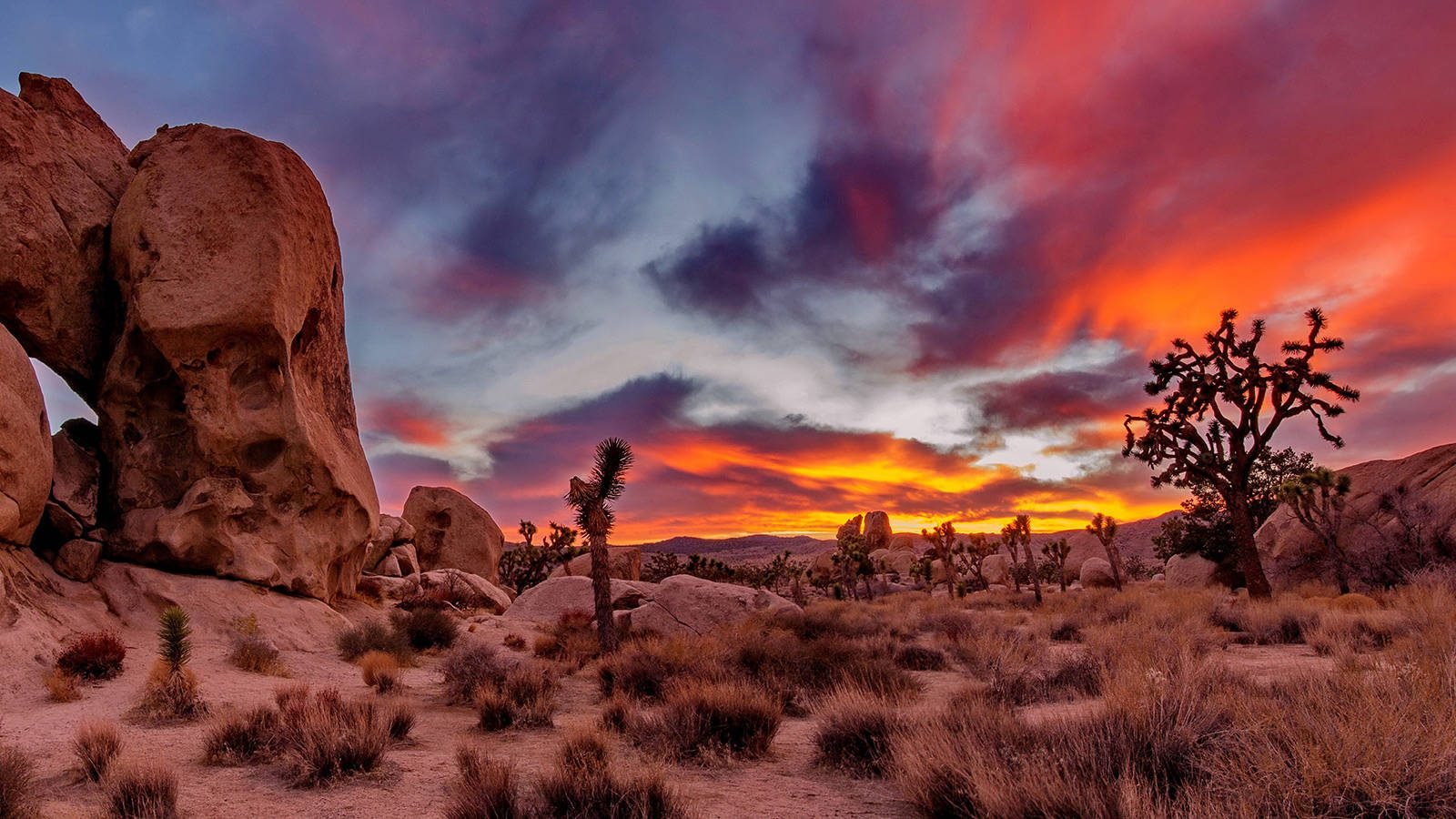Los Angeles + Grand Canyon National Park + Antelope Canyon + Bryce Canyon National Park + Grand Teton National Park + Yellowstone National Park + Salt Lake City + Las Vegas 11-day Tour