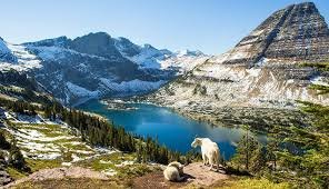 5-Day Tour of Seattle, Vancouver, Columbia Icefield, Banff National Park, and Okanagan Lake