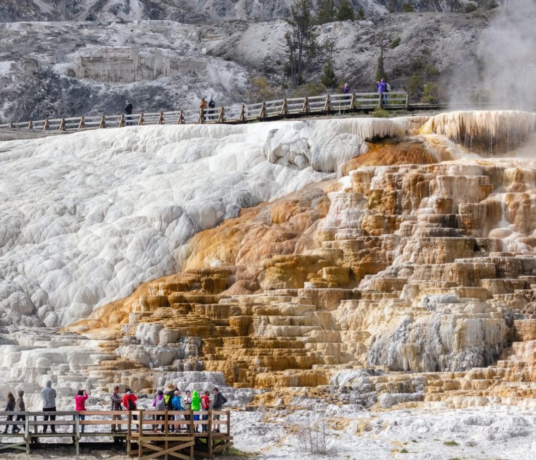 San Francisco+Yosemite National Park+Las Vegas+Lower Antelope Canyon+Horseshoe Bend+ Yellowstone National Park+ Grand Teton National Park+ Salt Lake City+ Los Angeles 12-day Tour (Package)